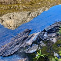 lake tahune reflections of frenchmans cap peter tuft